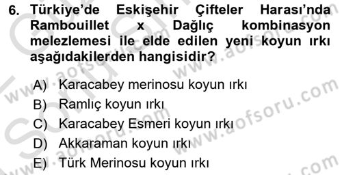 Temel Zootekni Dersi 2021 - 2022 Yılı (Final) Dönem Sonu Sınavı 6. Soru