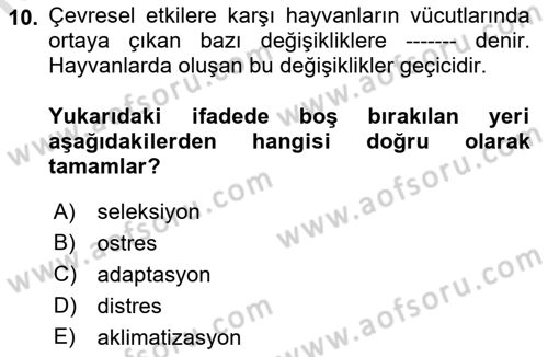 Temel Zootekni Dersi 2021 - 2022 Yılı Yaz Okulu Sınavı 10. Soru