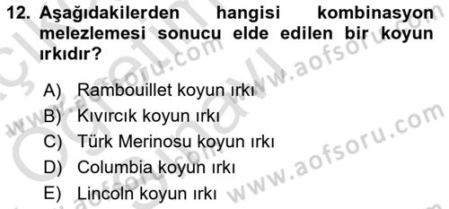 Temel Zootekni Dersi 2021 - 2022 Yılı Yaz Okulu Sınavı 12. Soru