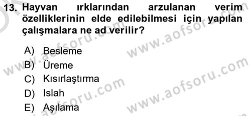 Temel Zootekni Dersi 2021 - 2022 Yılı Yaz Okulu Sınavı 13. Soru