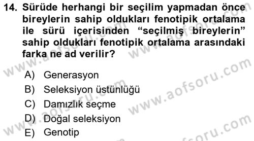 Temel Zootekni Dersi 2021 - 2022 Yılı Yaz Okulu Sınavı 14. Soru