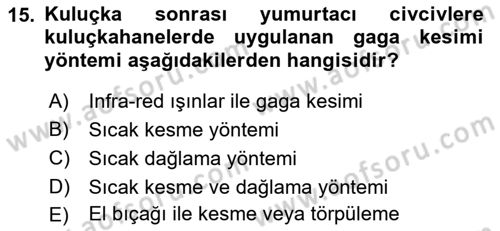 Temel Zootekni Dersi 2021 - 2022 Yılı Yaz Okulu Sınavı 15. Soru