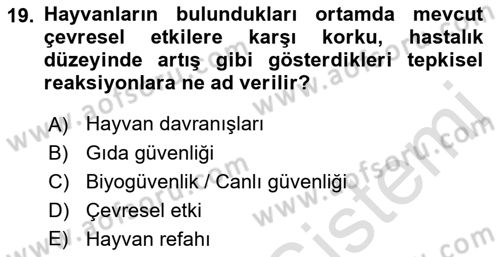 Temel Zootekni Dersi 2021 - 2022 Yılı Yaz Okulu Sınavı 19. Soru