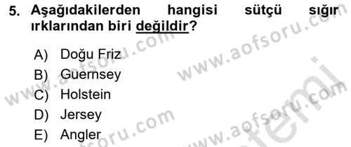 Temel Zootekni Dersi 2021 - 2022 Yılı Yaz Okulu Sınavı 5. Soru