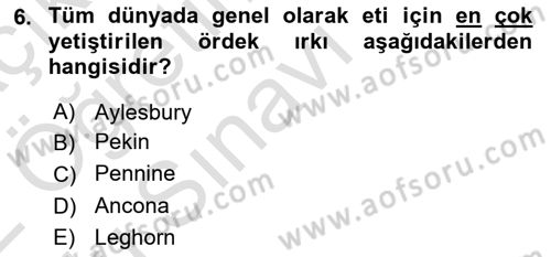 Temel Zootekni Dersi 2021 - 2022 Yılı Yaz Okulu Sınavı 6. Soru