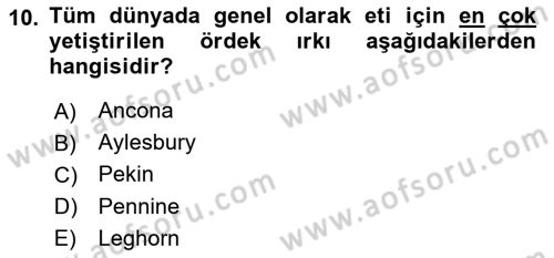 Temel Zootekni Dersi 2022 - 2023 Yılı (Vize) Ara Sınavı 10. Soru