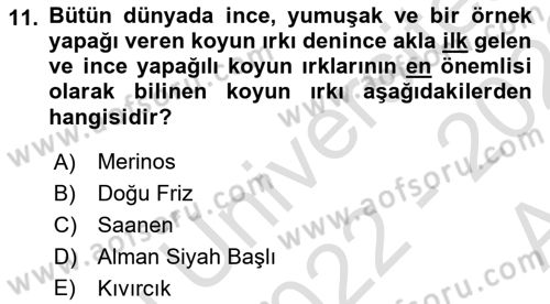 Temel Zootekni Dersi 2022 - 2023 Yılı (Vize) Ara Sınavı 11. Soru