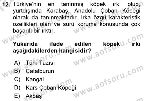 Temel Zootekni Dersi 2022 - 2023 Yılı (Vize) Ara Sınavı 12. Soru