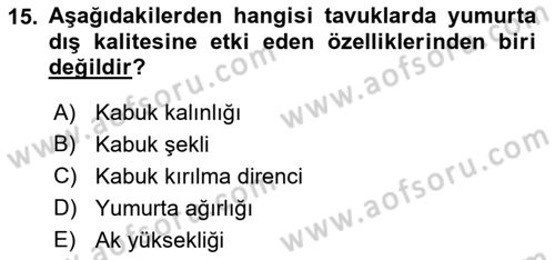 Temel Zootekni Dersi 2022 - 2023 Yılı (Vize) Ara Sınavı 15. Soru