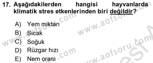 Temel Zootekni Dersi 2022 - 2023 Yılı (Vize) Ara Sınavı 17. Soru