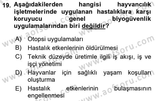 Temel Zootekni Dersi 2022 - 2023 Yılı (Vize) Ara Sınavı 19. Soru