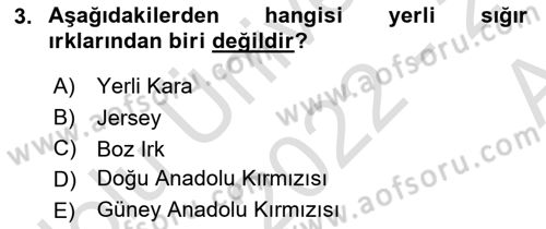 Temel Zootekni Dersi 2022 - 2023 Yılı (Vize) Ara Sınavı 3. Soru