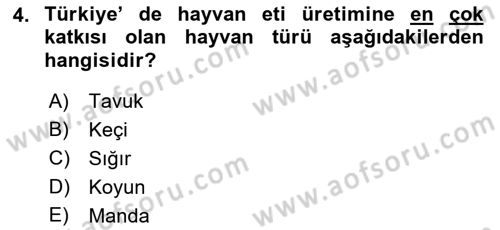 Temel Zootekni Dersi 2022 - 2023 Yılı (Vize) Ara Sınavı 4. Soru