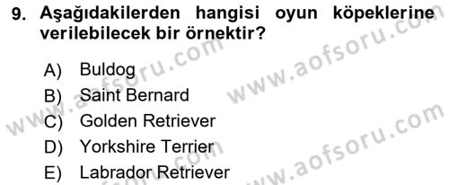 Temel Zootekni Dersi 2022 - 2023 Yılı (Vize) Ara Sınavı 9. Soru