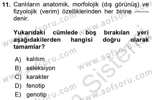 Temel Zootekni Dersi 2022 - 2023 Yılı (Final) Dönem Sonu Sınavı 11. Soru