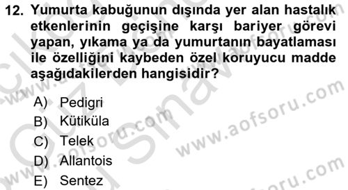 Temel Zootekni Dersi 2022 - 2023 Yılı (Final) Dönem Sonu Sınavı 12. Soru