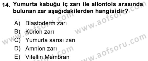 Temel Zootekni Dersi 2022 - 2023 Yılı (Final) Dönem Sonu Sınavı 14. Soru