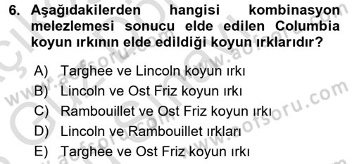 Temel Zootekni Dersi 2022 - 2023 Yılı (Final) Dönem Sonu Sınavı 6. Soru