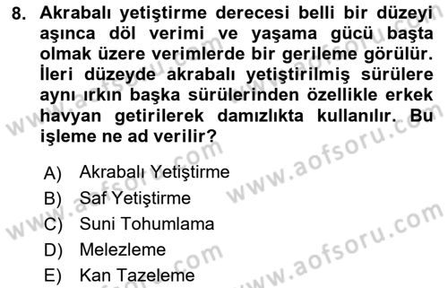 Temel Zootekni Dersi 2022 - 2023 Yılı (Final) Dönem Sonu Sınavı 8. Soru