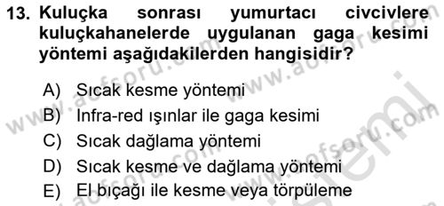 Temel Zootekni Dersi 2022 - 2023 Yılı Yaz Okulu Sınavı 13. Soru