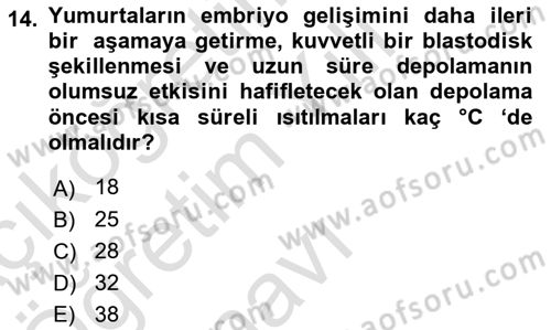 Temel Zootekni Dersi 2022 - 2023 Yılı Yaz Okulu Sınavı 14. Soru