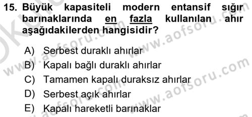 Temel Zootekni Dersi 2022 - 2023 Yılı Yaz Okulu Sınavı 15. Soru