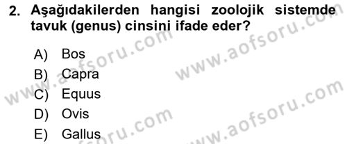 Temel Zootekni Dersi 2022 - 2023 Yılı Yaz Okulu Sınavı 2. Soru