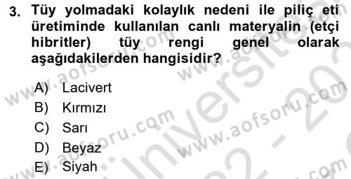 Temel Zootekni Dersi 2022 - 2023 Yılı Yaz Okulu Sınavı 3. Soru