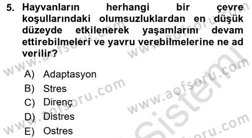 Temel Zootekni Dersi 2022 - 2023 Yılı Yaz Okulu Sınavı 5. Soru