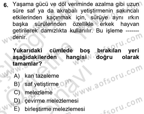 Temel Zootekni Dersi 2022 - 2023 Yılı Yaz Okulu Sınavı 6. Soru