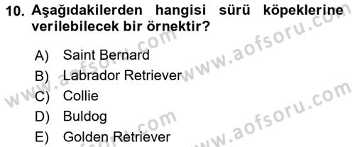 Temel Zootekni Dersi 2023 - 2024 Yılı (Vize) Ara Sınavı 10. Soru