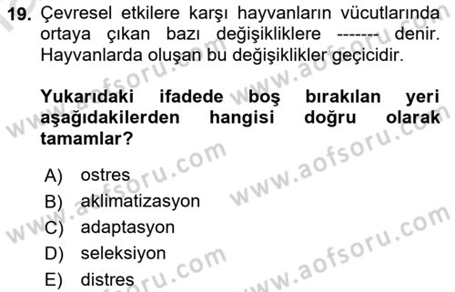 Temel Zootekni Dersi 2023 - 2024 Yılı (Vize) Ara Sınavı 19. Soru