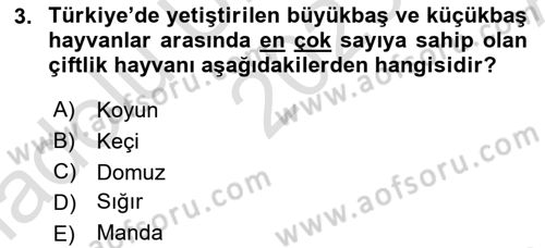 Temel Zootekni Dersi 2023 - 2024 Yılı (Vize) Ara Sınavı 3. Soru