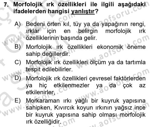 Temel Zootekni Dersi 2023 - 2024 Yılı (Vize) Ara Sınavı 7. Soru