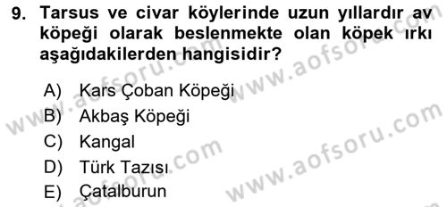 Temel Zootekni Dersi 2023 - 2024 Yılı (Vize) Ara Sınavı 9. Soru