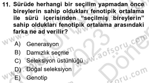 Temel Zootekni Dersi 2023 - 2024 Yılı (Final) Dönem Sonu Sınavı 11. Soru