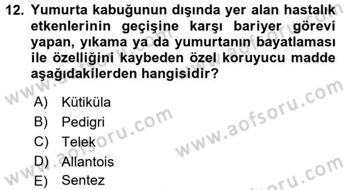 Temel Zootekni Dersi 2023 - 2024 Yılı (Final) Dönem Sonu Sınavı 12. Soru