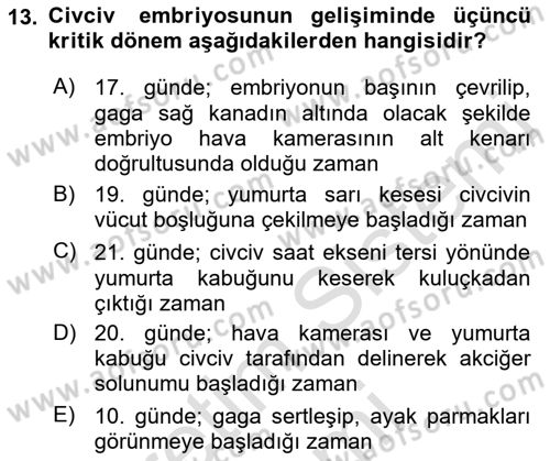 Temel Zootekni Dersi 2023 - 2024 Yılı (Final) Dönem Sonu Sınavı 13. Soru