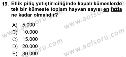 Temel Zootekni Dersi 2023 - 2024 Yılı (Final) Dönem Sonu Sınavı 19. Soru