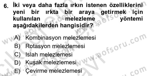 Temel Zootekni Dersi 2023 - 2024 Yılı (Final) Dönem Sonu Sınavı 6. Soru