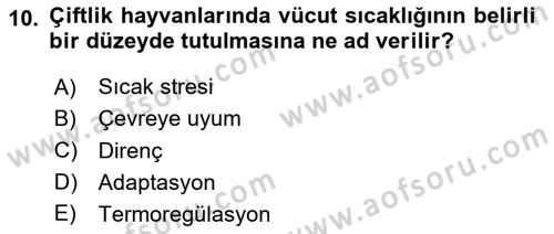 Temel Zootekni Dersi 2023 - 2024 Yılı Yaz Okulu Sınavı 10. Soru