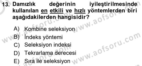 Temel Zootekni Dersi 2023 - 2024 Yılı Yaz Okulu Sınavı 13. Soru