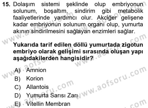 Temel Zootekni Dersi 2023 - 2024 Yılı Yaz Okulu Sınavı 15. Soru