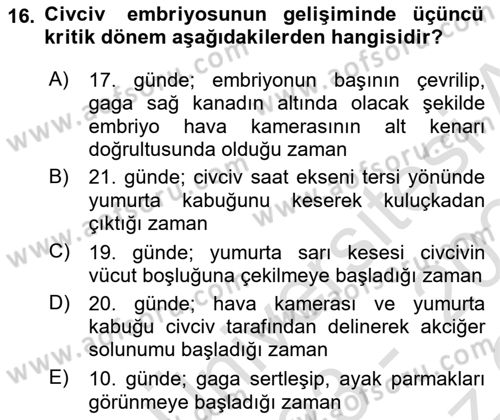 Temel Zootekni Dersi 2023 - 2024 Yılı Yaz Okulu Sınavı 16. Soru