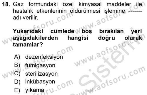 Temel Zootekni Dersi 2023 - 2024 Yılı Yaz Okulu Sınavı 18. Soru