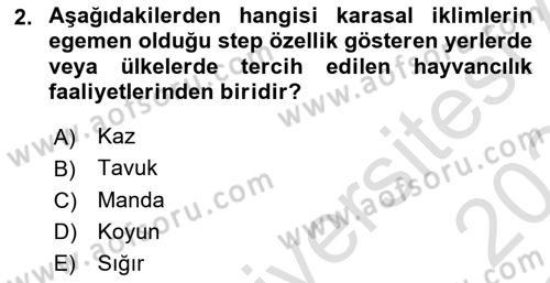 Temel Zootekni Dersi 2023 - 2024 Yılı Yaz Okulu Sınavı 2. Soru