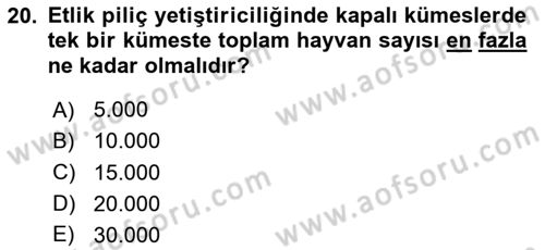 Temel Zootekni Dersi 2023 - 2024 Yılı Yaz Okulu Sınavı 20. Soru