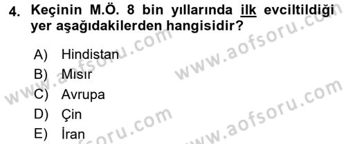 Temel Zootekni Dersi 2023 - 2024 Yılı Yaz Okulu Sınavı 4. Soru