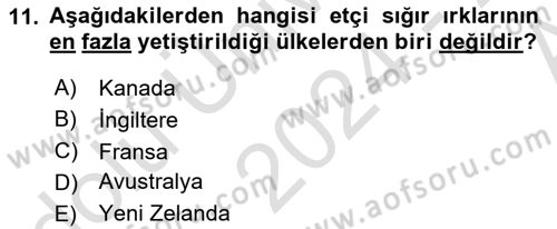 Temel Zootekni Dersi 2024 - 2025 Yılı (Vize) Ara Sınavı 11. Soru