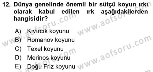 Temel Zootekni Dersi 2024 - 2025 Yılı (Vize) Ara Sınavı 12. Soru